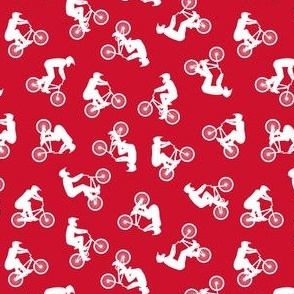 (small scale) BMX bikers - Bicycle Motocross - sports bicycle -  red - C22
