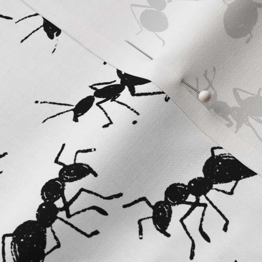 Hand Drawn Black Ants