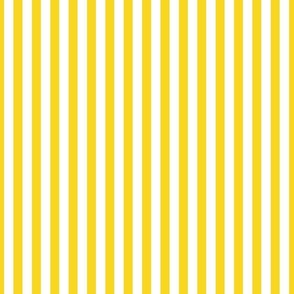 Stripes-soleil