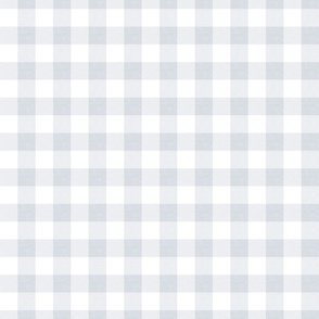 Gingham French Blue 2