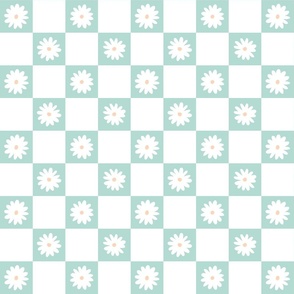 daisies checkers - edgewater 