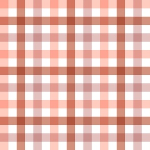 daisies gingham - nude