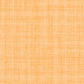 Natural Texture Gingham Checks Plaid Orange Neon Carrot Bright Orange Baby Orange FFA64C Woven Pattern Fresh Modern Abstract Geometric