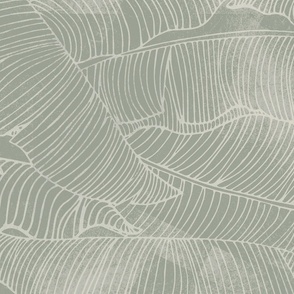 Banana Leaf, Paper Texture, Sage Gray Green