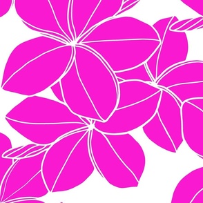 Surfside double-Fuscia-Plumeria-on white