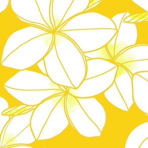 Surfside double-white-plumeria-line-drawing-yellow