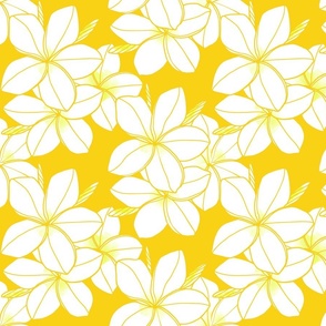 Surfside double-white-plumeria-line-drawing-yellow