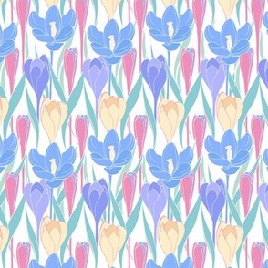 bright pastel Crocus flowers in rows for fabric