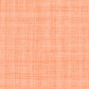 Natural Texture Gingham Checks Plaid Orange Peach Bright Orange Baby Orange EC8F62 Woven Pattern Fresh Modern Abstract Geometric