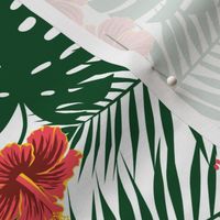 Palm Monstera Hibiscus Tropical Green