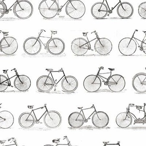 bikes 