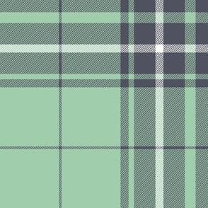 MacLean / MacLean of Duart hunting tartan, 10" faded