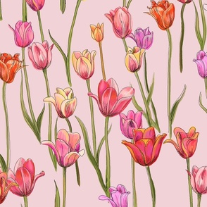 dutch tulips on cotton candy pink