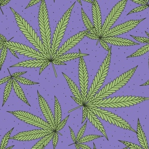 #218 Marijuana leaves on purple background