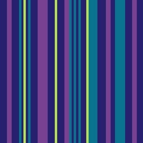 Swingset Stripe - Navy Teal Purple Lime 