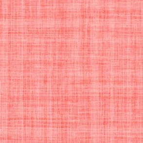 Natural Texture Gingham Checks Plaid Red Coral Bright Red Baby Pink EC5E57 Woven Pattern Fresh Modern Abstract Geometric