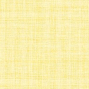 Natural Texture Gingham Checks Plaid Yellow Buttercup Yellow Gold Light Yellow Baby Yellow F1E377 Woven Pattern Fresh Modern Abstract Geometric