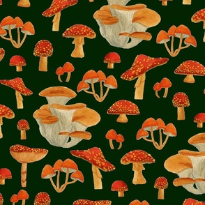 Watercolour Vintage Mushrooms V1 - Large Scale 