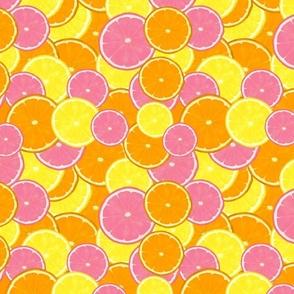 Fruit Slices Citrus coordinates