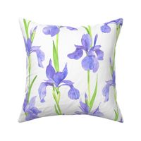 Watercolor purple Japanese irises flowers, spring flowers, violet blue iris cottagecore, vintage farmhouse,  romantic, romantism M