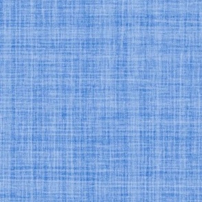 Natural Texture Gingham Checks Plaid Neutral Blue Subtle Sapphire Blue 527ACC Woven Pattern Subtle Modern Abstract Geometric