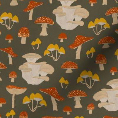 Vintage Mushrooms  | Small Scale