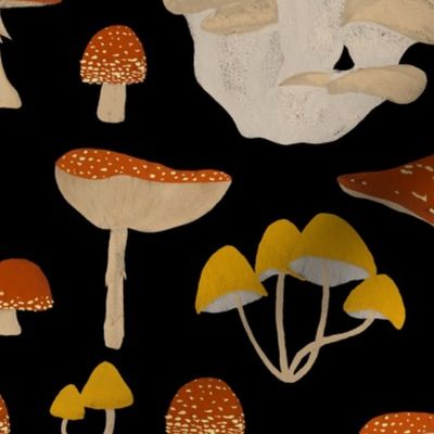 Vintage Mushrooms on Black  | Large Scale