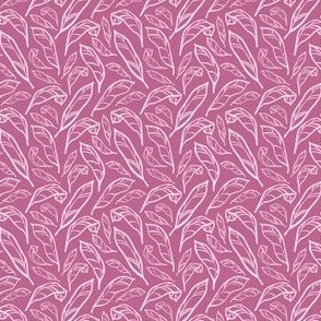 Outlined Pink Calatheas Small Scale