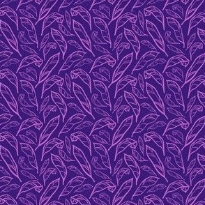 Outlined Purple Pink Calatheas - Small Scale