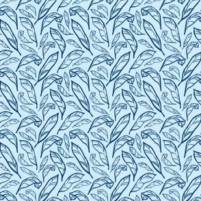 Outlined Sky Blue Calatheas - Small Scale