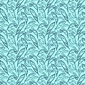 Outlined Teal Calatheas - Small Scale