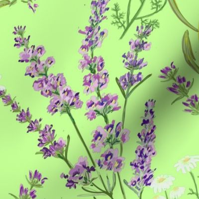  Lavender n Chamomile - on pale green