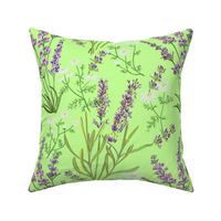  Lavender n Chamomile - on pale green