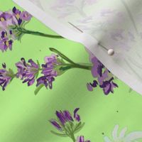  Lavender n Chamomile - on pale green