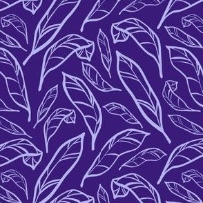 Outlined Purple Calatheas