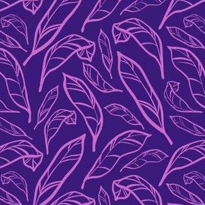 Outlined Purple Pink Calatheas