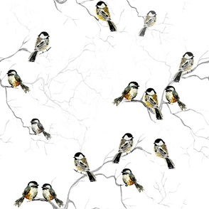 Large Golden Chickadees / Watercolor / Black Brown White Birds