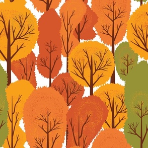 Autumn Forest