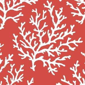 White Coral on Red