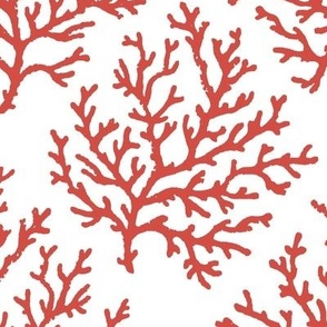 Red Coral on White