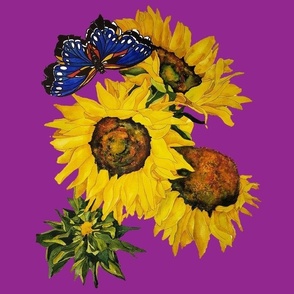 104c. LARGE  Blue Butterfly & Sunflowers on Magenta