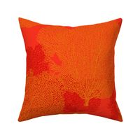 FAN CORAL ALL ORANGE