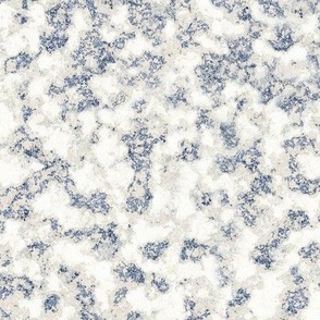 White Marble with Blue Flecks