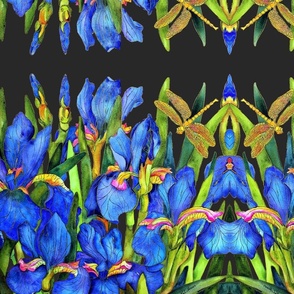 902b. MEDIUM  Iris on Black  Mirror Image 