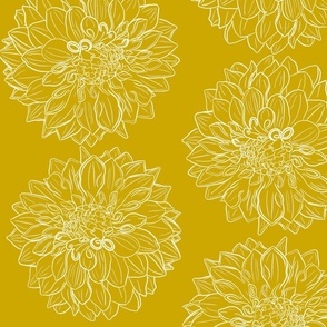 Golden Yellow Dahlias