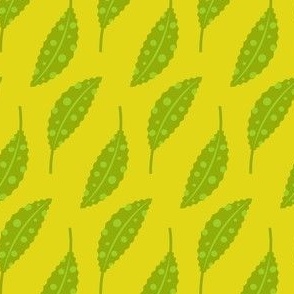 Leaf coordinate / yellow / green 