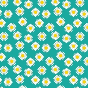white daisy on turquoise, small