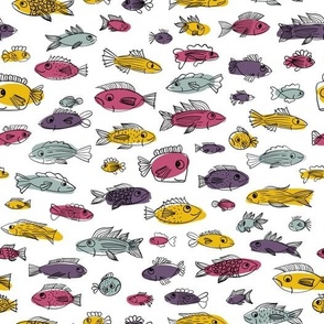 Fishes colourful in Pink