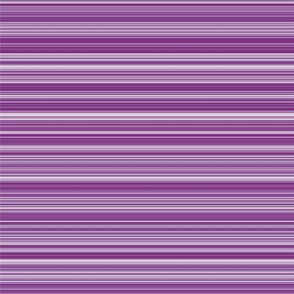 Skinny Lines Purple