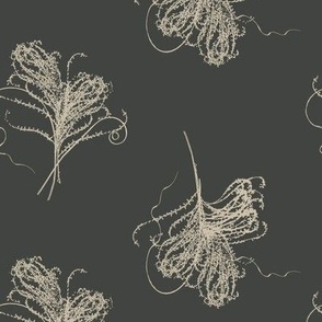 Dried Grasses  Black